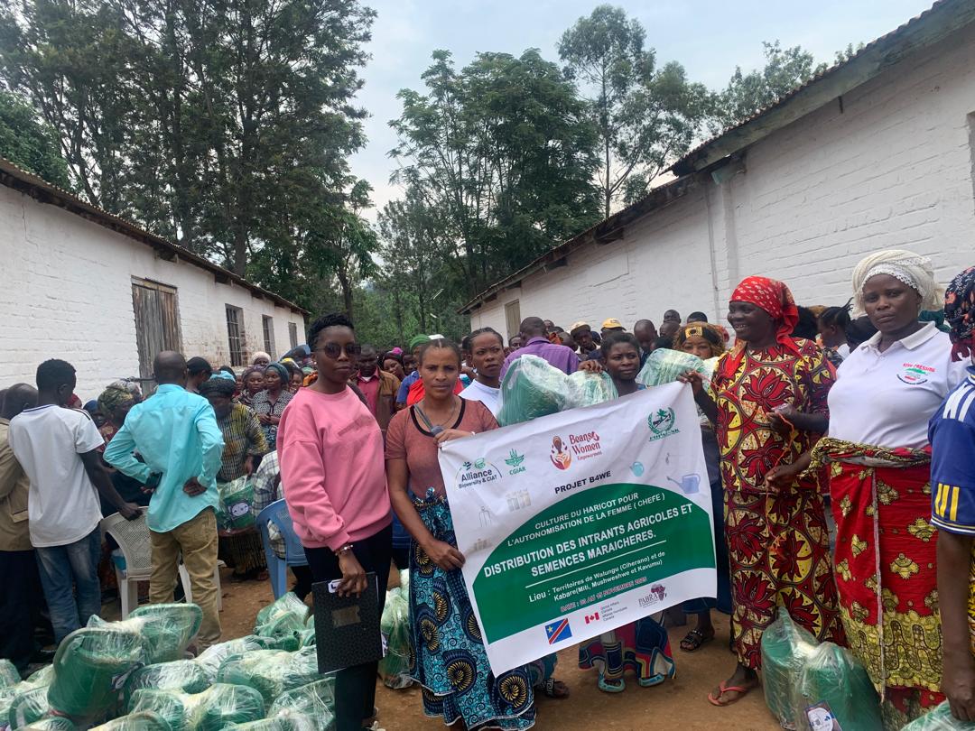 Distribution des intrants agricoles et des semences maraichères à 300